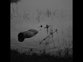 learning how not to die