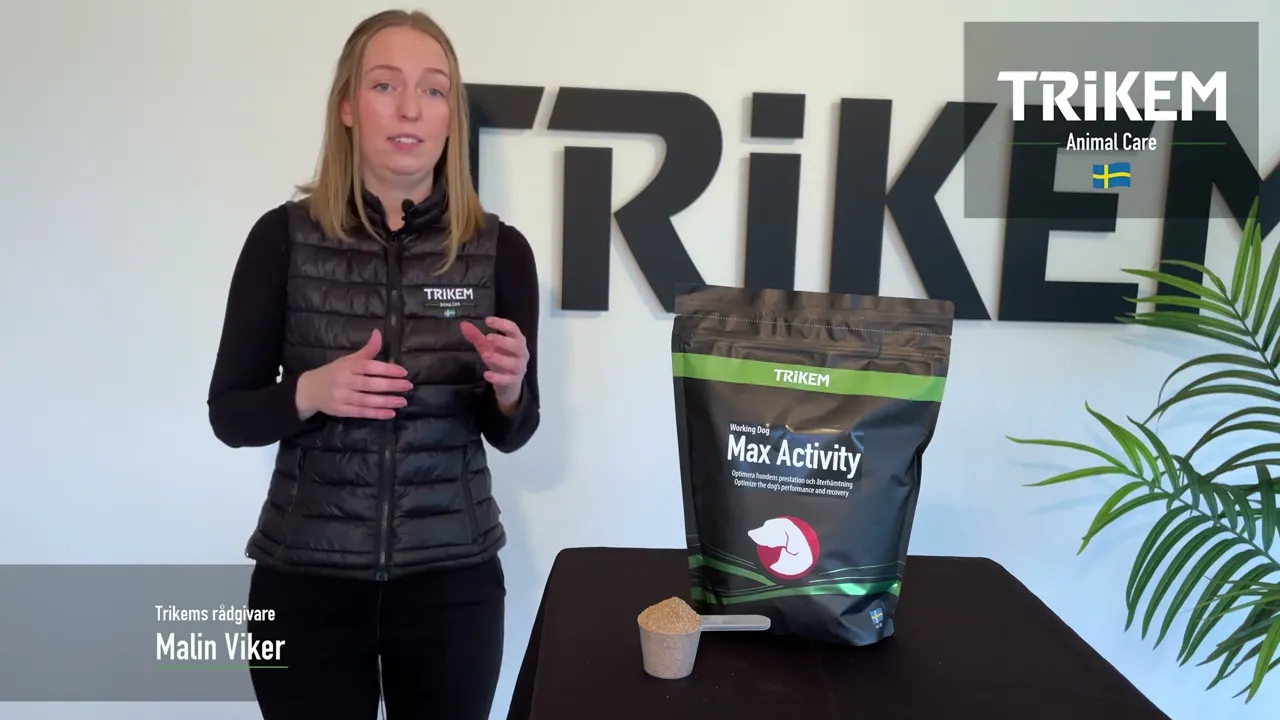 Feed supplement - Trikem WorkingDog Max Activity 450 gr.