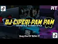 Download Lagu DJ CIPERI PAM PAM MAIMUNAH IMUT AISYAH • Slowed + Reverb Mengkane !!!