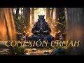 Download Lagu Conoce la forma de pensar de los URMAH.