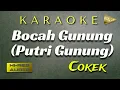 Download Lagu Bocah Gunung Karaoke Cokek set Gamelan Korg Pa600 + Lirik