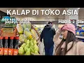 BELANJA DI TOKO ASIA TERBESAR HABIS 2 JUTA‼️