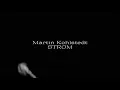 Martin Kohlstedt - Strom (full animated album stream)