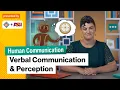 How Verbal Communication affects Perception Intro to Human Communication Study Hall