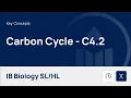 Carbon Cycle IB Biology