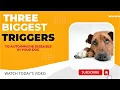 3 biggest triggers to autoimmune diseases