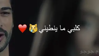 حسين الغزال مكدر اعوفك كلبي ما ينطيني 