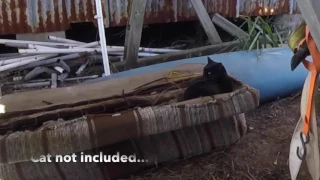 Episode 335 – Typical Day of Work –  Life of a Gypsy Day 231