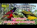 Download Lagu Suara Pikat Sogon Remetuk Laut Konin Terbaru, Paling Ampuh Atasi Burung Yang Susah Turun