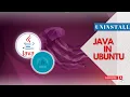 Java Uninstall in Ubuntu How to Uninstall Java in Ubuntu Server Linux WhizMaster