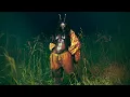 SZA - BMF  ( s l o w e d   +   r e v e r b )