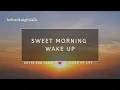 Download Lagu ASMR: bangun pagi yang manis