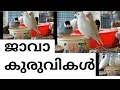 Download Lagu ജാവാ കുരുവികൾ /Java Sparrows ( Malayalam)