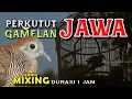Download Lagu SUARA PERKUTUT JAWA