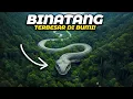 Download Lagu Ukuran Nggak Masuk Akal! 🦖🌍 Inilah Makhluk Terbesar yang Pernah Berjalan di Bumi!