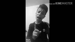 اغنية دا اسد ونزله الديب هاشم صلاح 