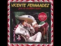 Por Tu Maldito Amor - Vicente Fernández