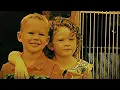 The Game Of Love (Official Video) (feat. Michelle Branch) - Santana