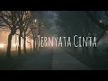 Download Lagu Padi - Ternyata Cinta (Lyrics)