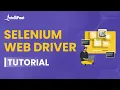 Selenium WebDriver What Is Selenium WebDriver How To Install Selenium WebDriver Intellipaat