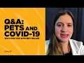 Vet Q A with Dr Whitney Miller COVID-19 Pets
