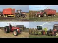 Mais hakselen en inkuilen door Gottemaker en Bosch met Claas Jaguar 860 en IHC trekkers (2021)