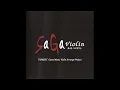 04. 決戦！サルーイン - Coup de Grace - SaGa Violin Soundtrack / OST