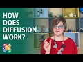 Visible Biology Lesson 5 How Does Diffusion Work