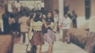 خذانه الواهس من بعيد   سعد الحلي دندنها
