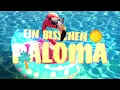 Roger Whittaker, Stereoact - Ein bisschen Aroma (Stereoact Sommer-Remix / Lyric Video)
