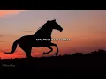 Chaqueño Palavecino-Caballo viejo
