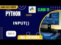 python input function