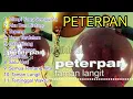 Lagu PETERPAN - TAMAN LANGIT FULL ALBUM - MIMPI YANG SEMPURNA