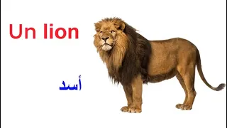 الحيوانات باللغة الفرنسية بالصوت والصورة مع الترجمة الى العربية Les Animaux En Français 