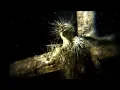 Download Lagu Behemoth - Ecclesia Diabolica Catholica (Official Music Video)