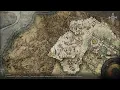 Secret NPC in Caria Manor how to reach