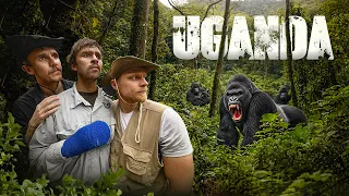 Vi letar efter vilda bergsgorillor i Uganda