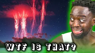 I Watched The Craziest Nature Videos Ever!