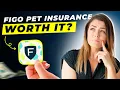 Figo Pet Insurance Review 2025 Pros and Cons Detailed Overview