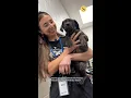 How BARCS Animal Rescue Care Shelter helps pets stay with their families