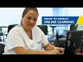 How ABSN Online Learning Works