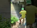 Download Lagu Jala Ikan Dapat Banyak