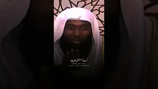 أول من سمي بالحسن والحسين رضي الله عنهم بدر المشاري 