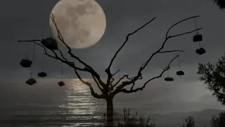 هاني شاكر نفسي اشوف الشمس واحكلها 