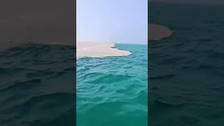 مرج البحرين يلتقيان ياسر الدوسري 