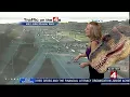 Kim DeGiulio gets prehistoric surprise while doing traffic
