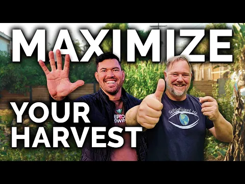 Download MP3 5 Easy Tips To Harvest MORE From Your Garden (with @Selfsufficientme)