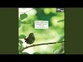 Download Lagu Pacific Tree Frogs, Barred Owl and Red-winged Blackbirds