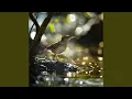Download Lagu Perairan yang Tenang dan Burung-burung Bernyanyi Bersamaan