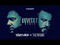 Download Lagu Dirty Nano vs The Motans - Invitat | REMIX